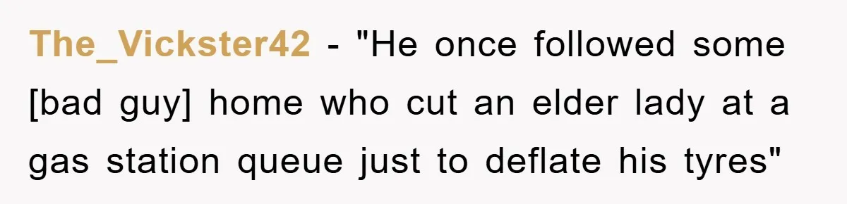 The_Vickster42 - "He once followed some [bad guy] home who cut an elder lady at a gas station queue just to deflate his tyres"