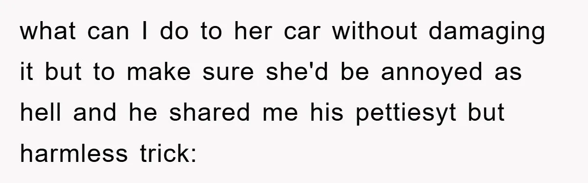 what can I do to her car without damaging it but to make sure she'd be annoyed as hell and he shared me his pettiesyt but harmless trick: