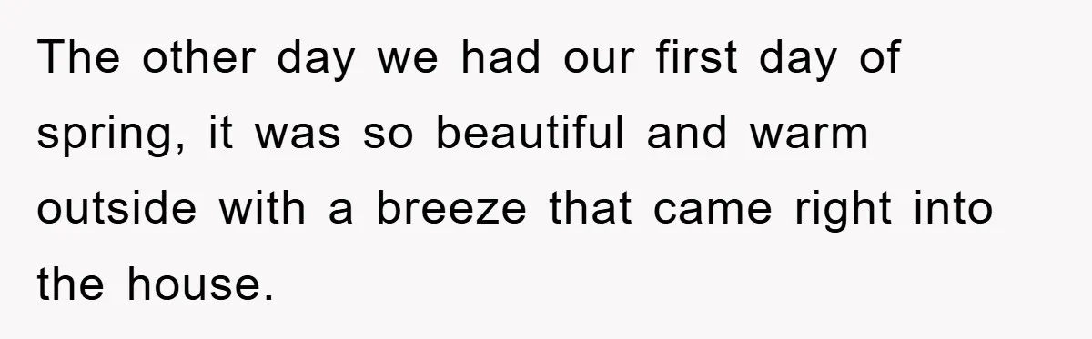 The other day we had our first day of spring, it was so beautiful and warm outside with a breeze that came right into the house.