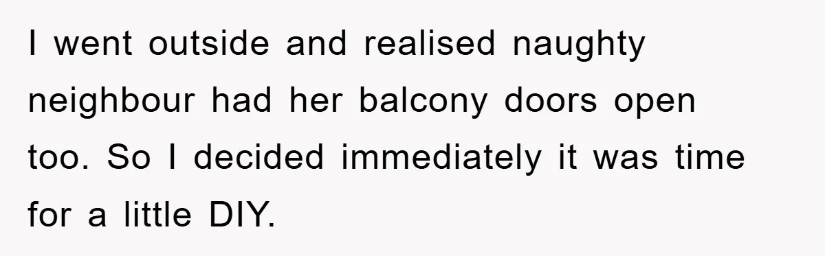 I went outside and realised naughty neighbour had her balcony doors open too. So I decided immediately it was time for a little DIY.