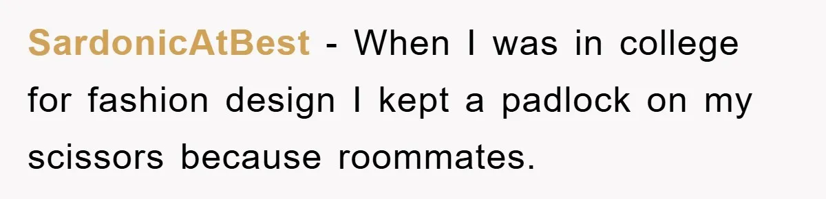 SardonicAtBest − When I was in college for fashion design I kept a padlock on my scissors because roommates.