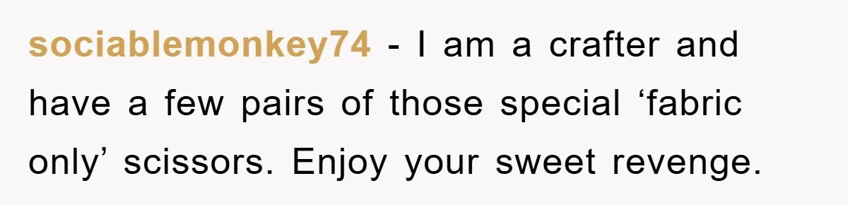 sociablemonkey74 − I am a crafter and have a few pairs of those special ‘fabric only’ scissors. Enjoy your sweet revenge.
