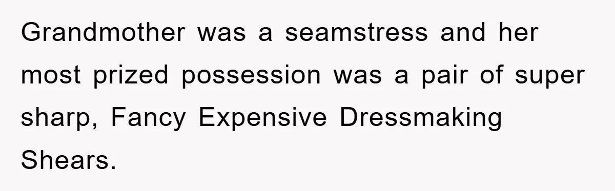 Grandmother was a seamstress and her most prized possession was a pair of super sharp, Fancy Expensive Dressmaking Shears.