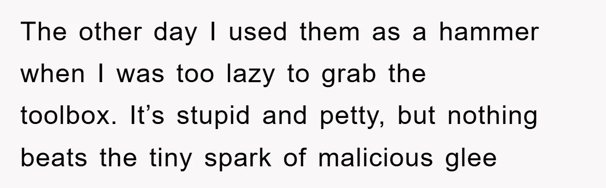 The other day I used them as a hammer when I was too lazy to grab the toolbox. It’s stupid and petty, but nothing beats the tiny spark of malicious...