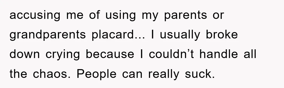 accusing me of using my parents or grandparents placard... I usually broke down crying because I couldn’t handle all the chaos. People can really suck.
