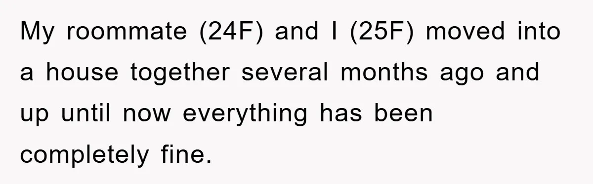 My roommate (24F) and I (25F) moved into a house together several months ago and up until now everything has been completely fine.