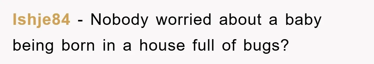 'I Ruined My Own Party': Aunt Tries To Steamroll Niece, Gets Baby Shower Canceled Ishje84 - Nobody worried about a baby being born in a house full of bugs?