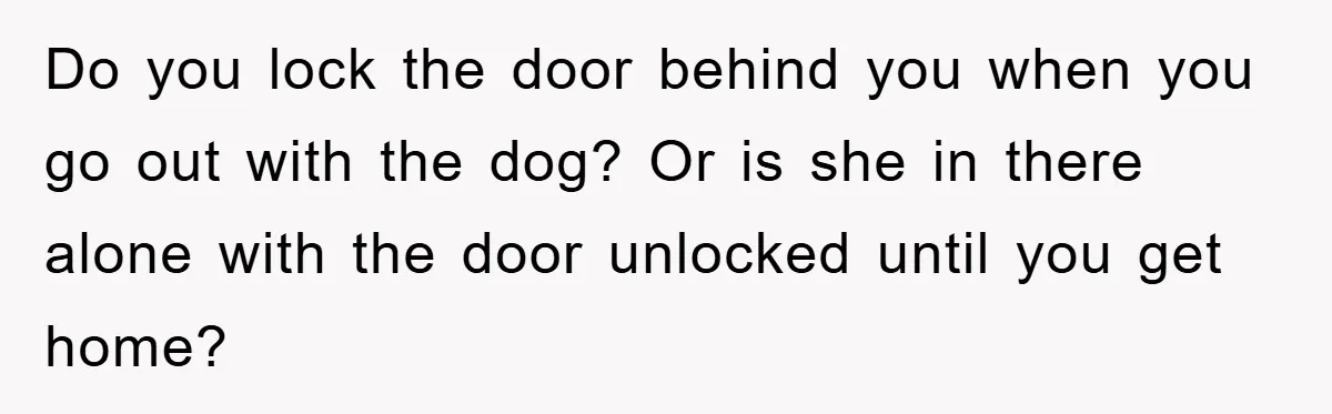 Do you lock the door behind you when you go out with the dog? Or is she in there alone with the door unlocked until you get home?