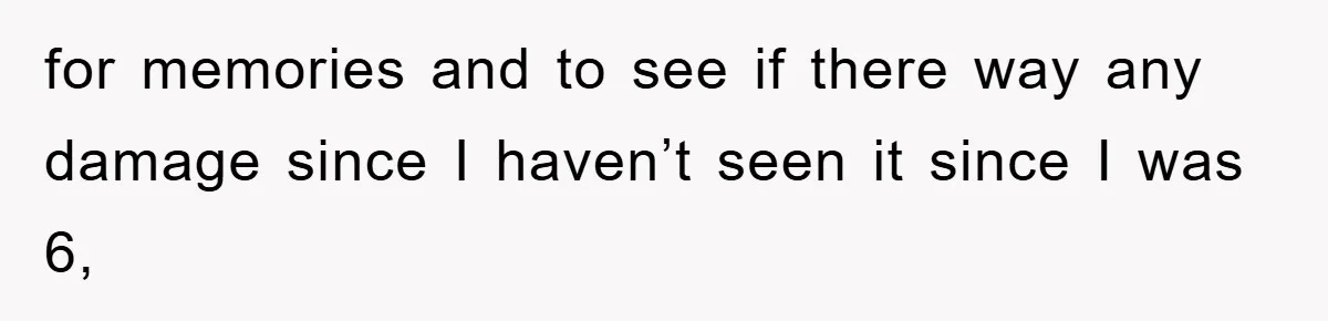 for memories and to see if there way any damage since I haven’t seen it since I was 6,