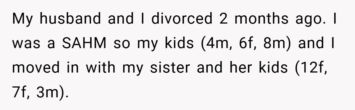 My husband and I divorced 2 months ago. I was a SAHM so my kids (4m, 6f, 8m) and I moved in with my sister and her kids (12f, 7f,...