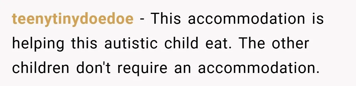 teenytinydoedoe − This accommodation is helping this autistic child eat. The other children don't require an accommodation.