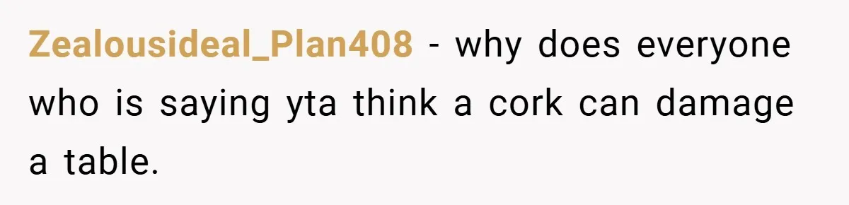 Zealousideal_Plan408 − why does everyone who is saying yta think a cork can damage a table.