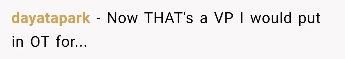 dayatapark − Now THAT's a VP I would put in OT for...