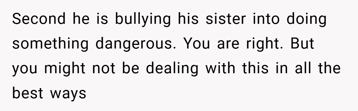 Second he is bullying his sister into doing something dangerous. You are right. But you might not be dealing with this in all the best ways