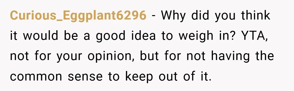 Curious_Eggplant6296 − Why did you think it would be a good idea to weigh in? YTA, not for your opinion, but for not having the common sense to keep out...