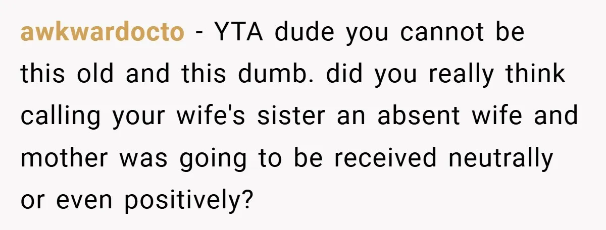 awkwardocto − YTA dude you cannot be this old and this dumb. did you really think calling your wife's sister an absent wife and mother was going to be received...