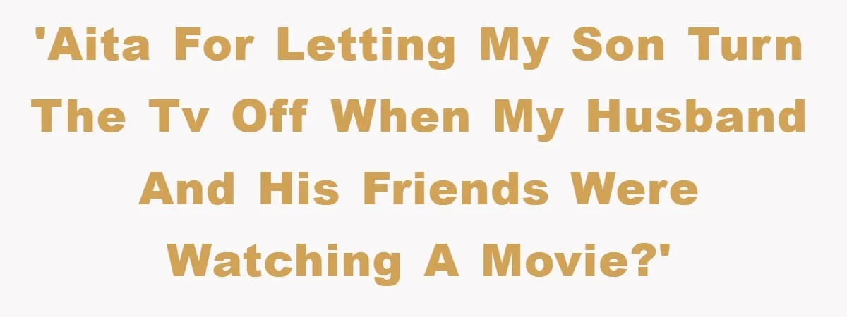 'AITA for letting my son turn the TV off when my husband and his friends were watching a movie?'