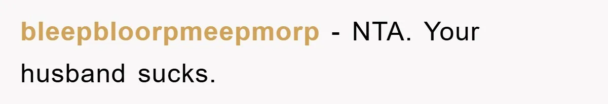 bleepbloorpmeepmorp − NTA. Your husband sucks.