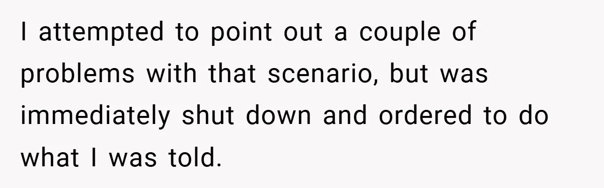 I attempted to point out a couple of problems with that scenario, but was immediately shut down and ordered to do what I was told.