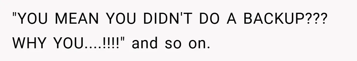 "YOU MEAN YOU DIDN'T DO A BACKUP??? WHY YOU....!!!!" and so on.