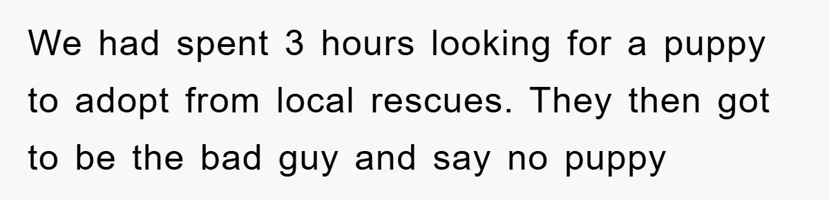 We had spent 3 hours looking for a puppy to adopt from local rescues. They then got to be the bad guy and say no puppy