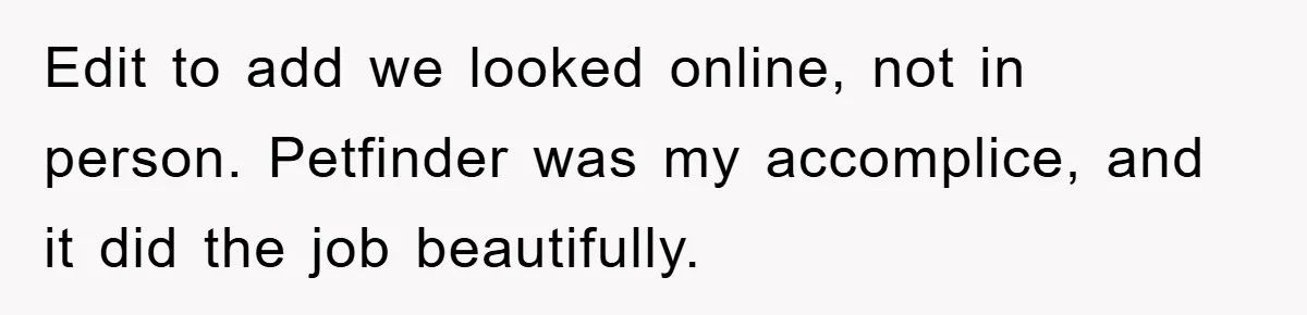 Edit to add we looked online, not in person. Petfinder was my accomplice, and it did the job beautifully.