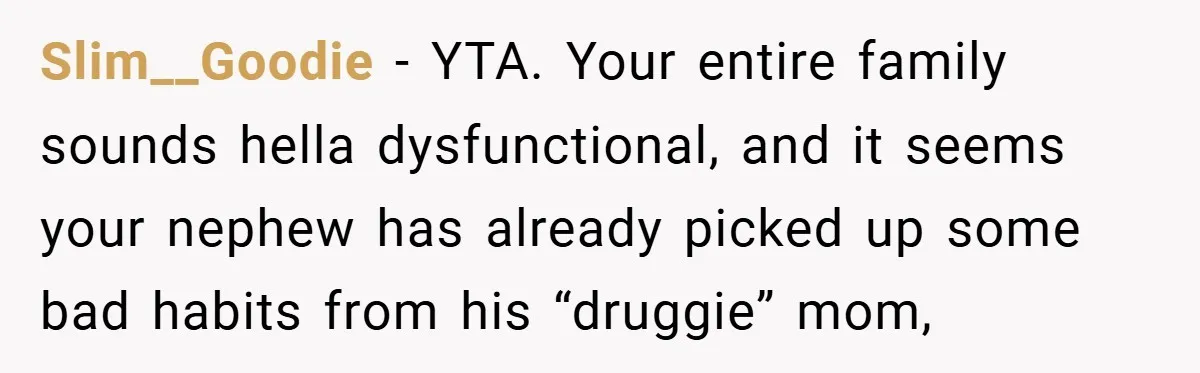 Slim__Goodie − YTA. Your entire family sounds hella dysfunctional, and it seems your nephew has already picked up some bad habits from his “druggie” mom,