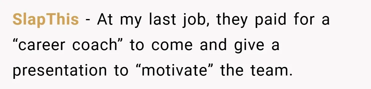 SlapThis − At my last job, they paid for a “career coach” to come and give a presentation to “motivate” the team.