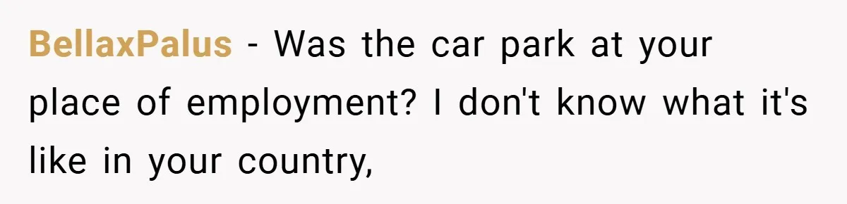 BellaxPalus − Was the car park at your place of employment? I don't know what it's like in your country,