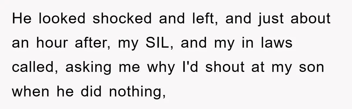 He looked shocked and left, and just about an hour after, my SIL, and my in laws called, asking me why I'd shout at my son when he did nothing,