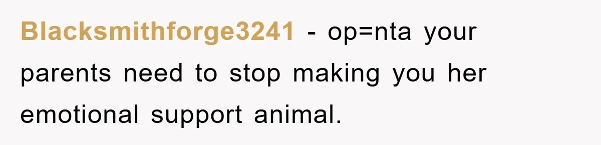 Teen Dodges Stepsister For School Project, Faces Family’s Wrath After Secret Plan Unravels Blacksmithforge3241 − op=nta your parents need to stop making you her emotional support animal.