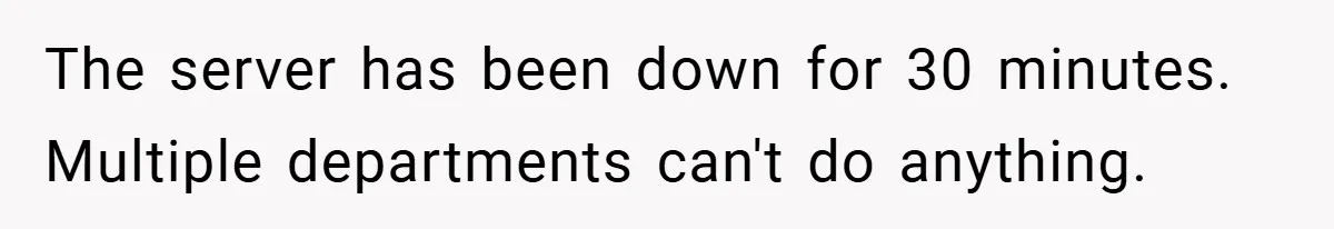 The server has been down for 30 minutes. Multiple departments can't do anything.