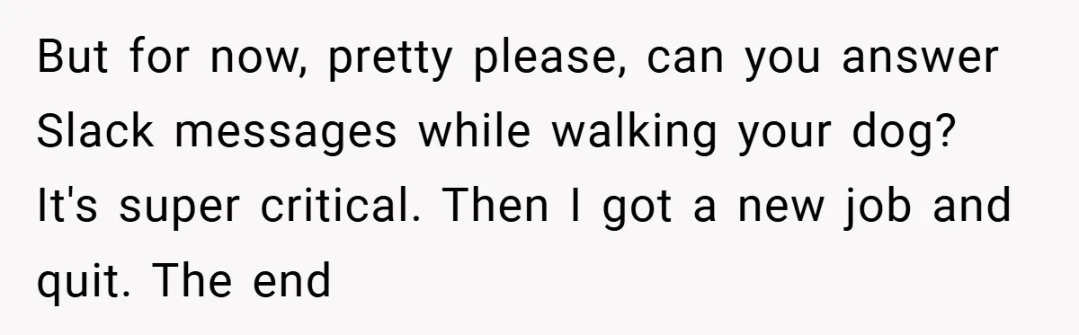 But for now, pretty please, can you answer Slack messages while walking your dog? It's super critical. Then I got a new job and quit. The end