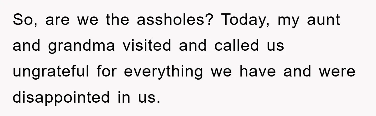 So, are we the assholes? Today, my aunt and grandma visited and called us ungrateful for everything we have and were disappointed in us.