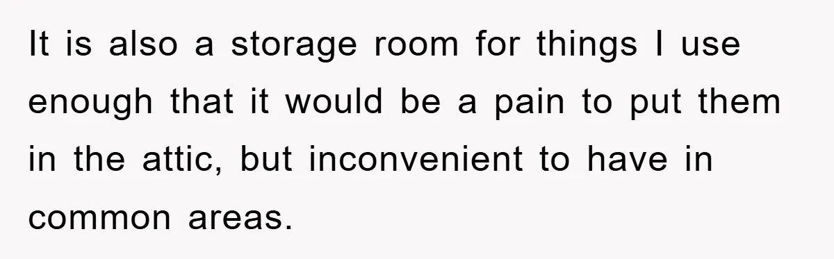 It is also a storage room for things I use enough that it would be a pain to put them in the attic, but inconvenient to have in common areas.
