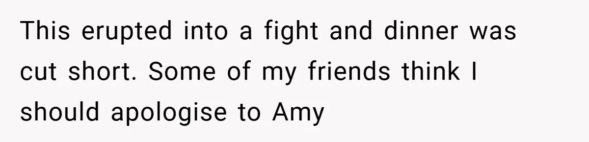 This erupted into a fight and dinner was cut short. Some of my friends think I should apologise to Amy