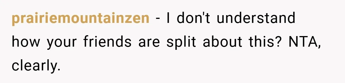 prairiemountainzen − I don't understand how your friends are split about this? NTA, clearly.