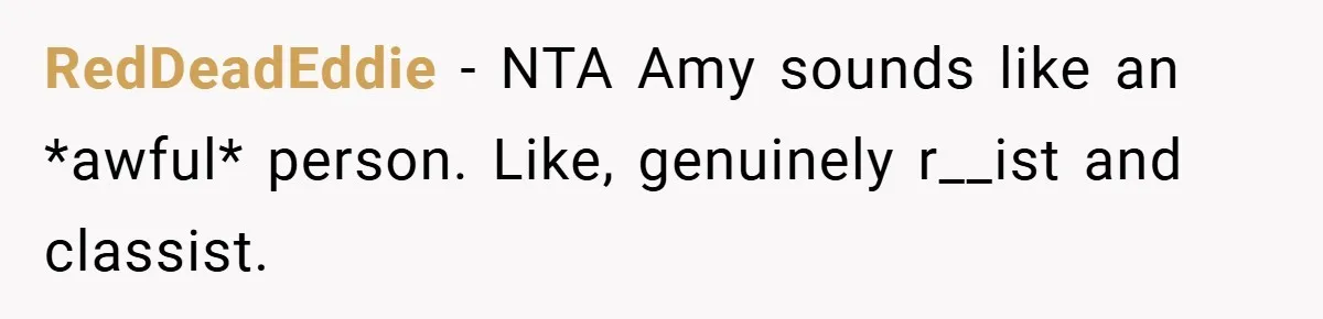 RedDeadEddie − NTA Amy sounds like an *awful* person. Like, genuinely r__ist and classist.
