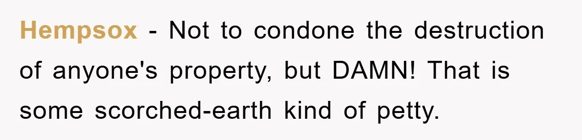 Hempsox − Not to condone the destruction of anyone's property, but DAMN! That is some scorched-earth kind of petty.