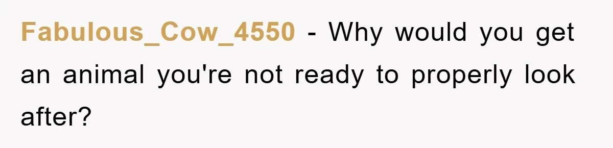 Fabulous_Cow_4550 − Why would you get an animal you're not ready to properly look after?