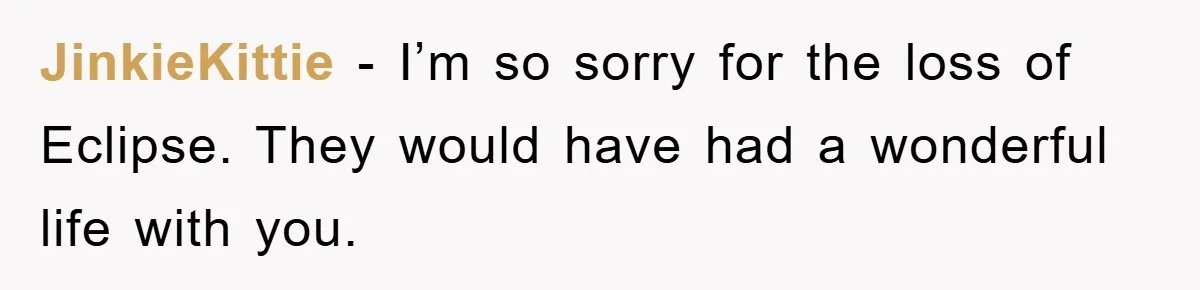 JinkieKittie − I’m so sorry for the loss of Eclipse. They would have had a wonderful life with you.