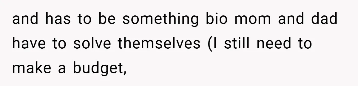 and has to be something bio mom and dad have to solve themselves (I still need to make a budget,