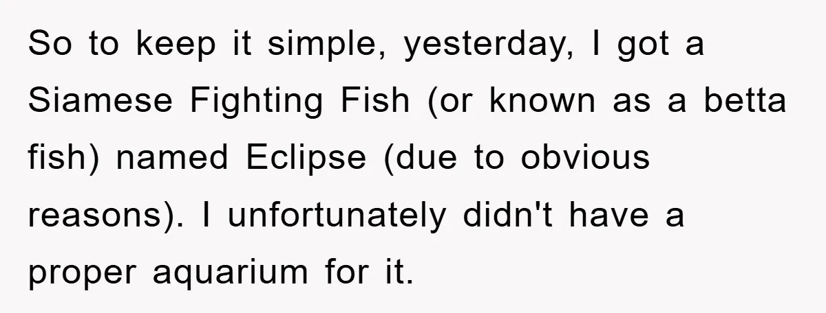 So to keep it simple, yesterday, I got a Siamese Fighting Fish (or known as a betta fish) named Eclipse (due to obvious reasons). I unfortunately didn't have a proper...