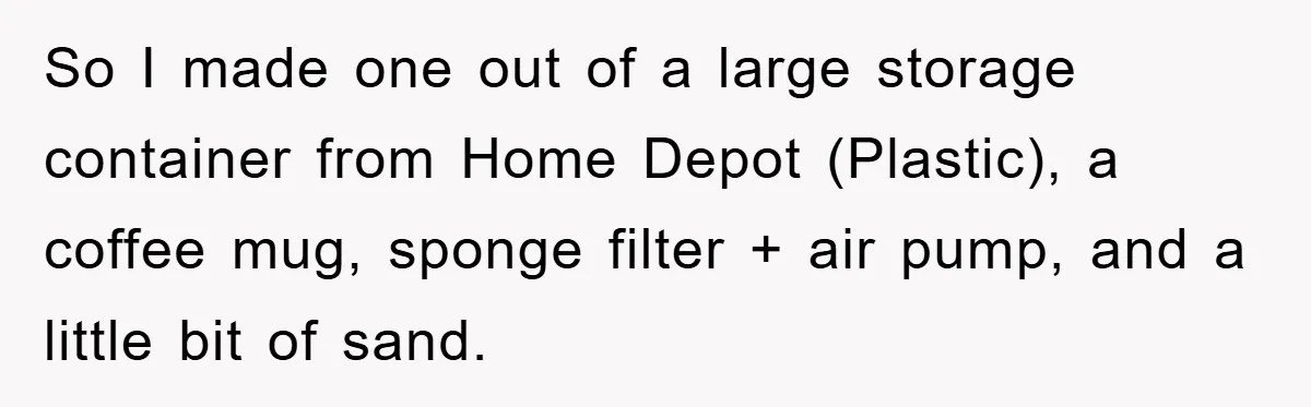 So I made one out of a large storage container from Home Depot (Plastic), a coffee mug, sponge filter + air pump, and a little bit of sand.