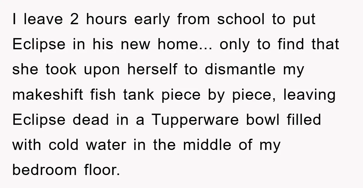 I leave 2 hours early from school to put Eclipse in his new home... only to find that she took upon herself to dismantle my makeshift fish tank piece by...