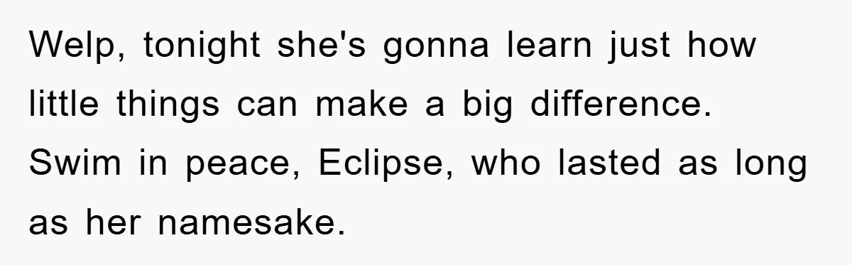 Welp, tonight she's gonna learn just how little things can make a big difference. Swim in peace, Eclipse, who lasted as long as her namesake.