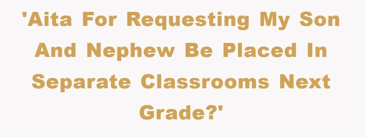 'AITA for requesting my son and nephew be placed in separate classrooms next grade?'