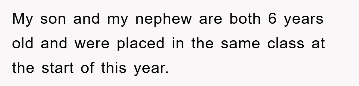 My son and my nephew are both 6 years old and were placed in the same class at the start of this year.