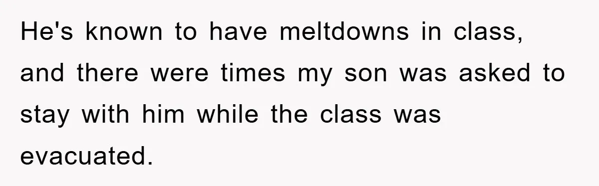 He's known to have meltdowns in class, and there were times my son was asked to stay with him while the class was evacuated.