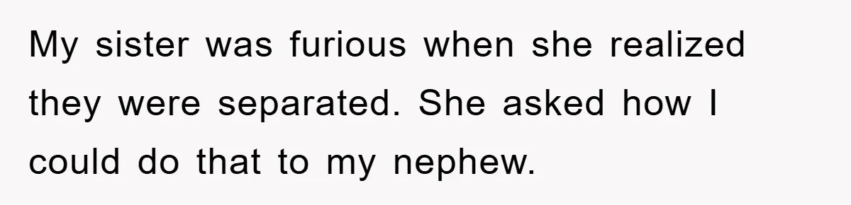 My sister was furious when she realized they were separated. She asked how I could do that to my nephew.